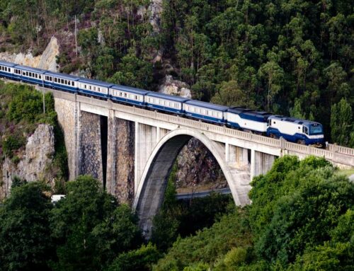 Viajes en Tren de Lujo